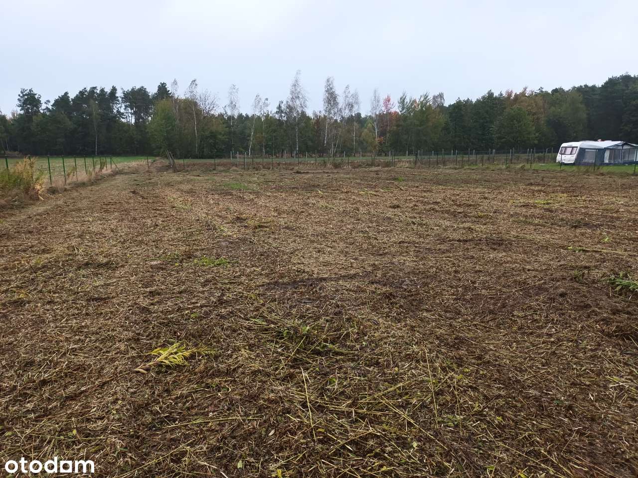 Malownicza działka pod lasem - Pełny obrazek: 5/10