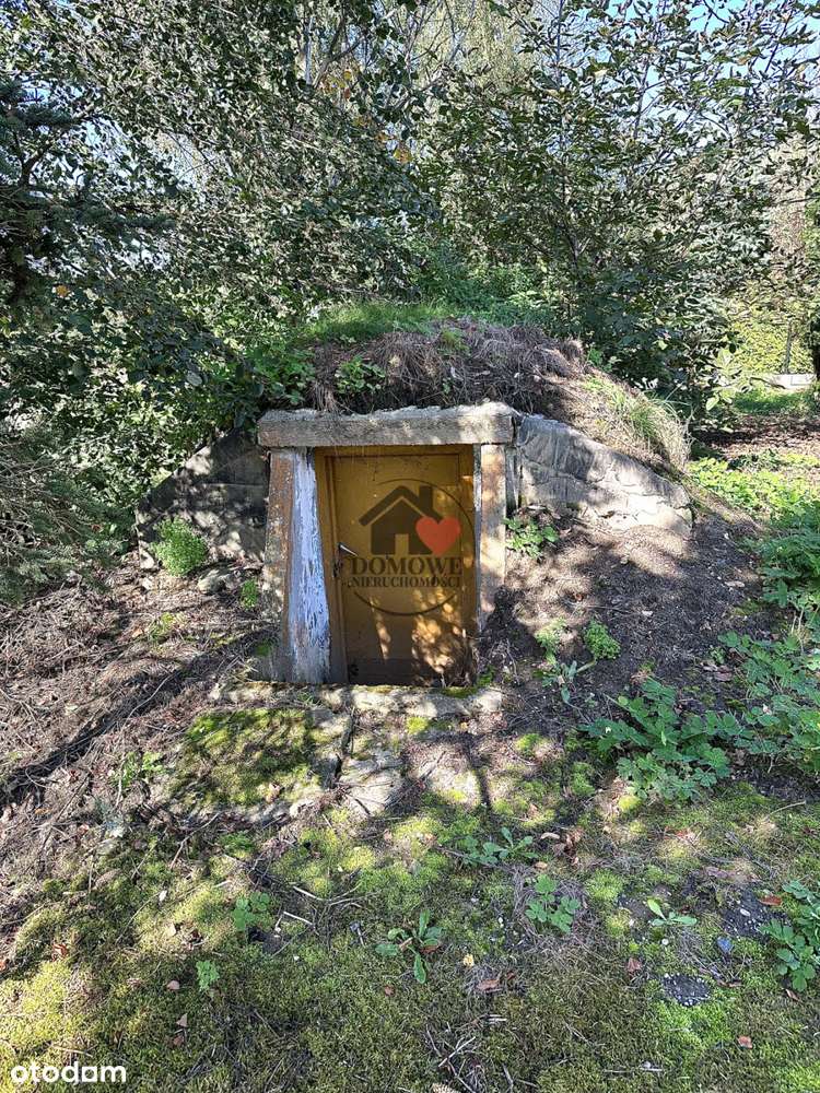 Sprzedam piękną działkę z domem do remontu-8