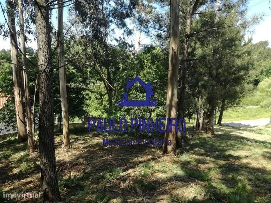 Terreno Olival - Grande imagem: 5/7