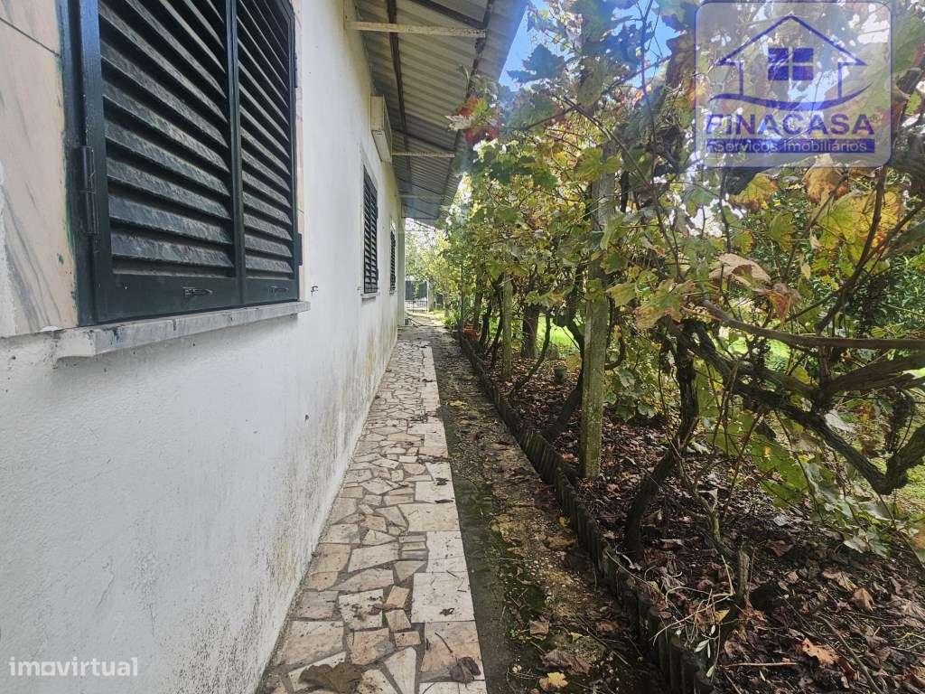 EXCLUSIVO - Quinta com 2069 m2, T1 e um armazém - Asseiceira(Palmela)-26