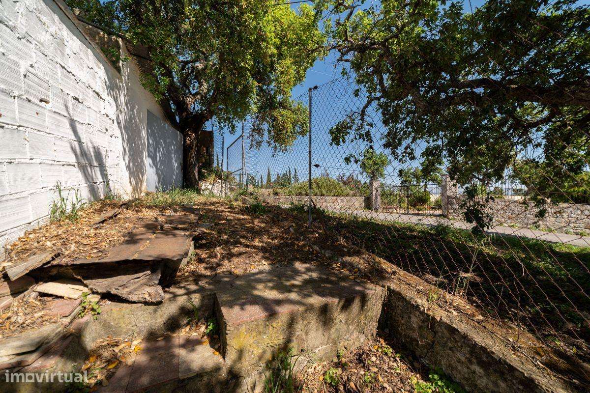 Casa Tradicional Algarvia com Charme no Alportel -  São Brás de Alport-31