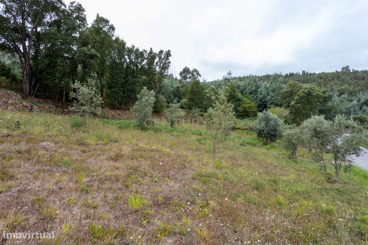 Terreno - Vila Nova de Poiares - Grande imagem: 2/7