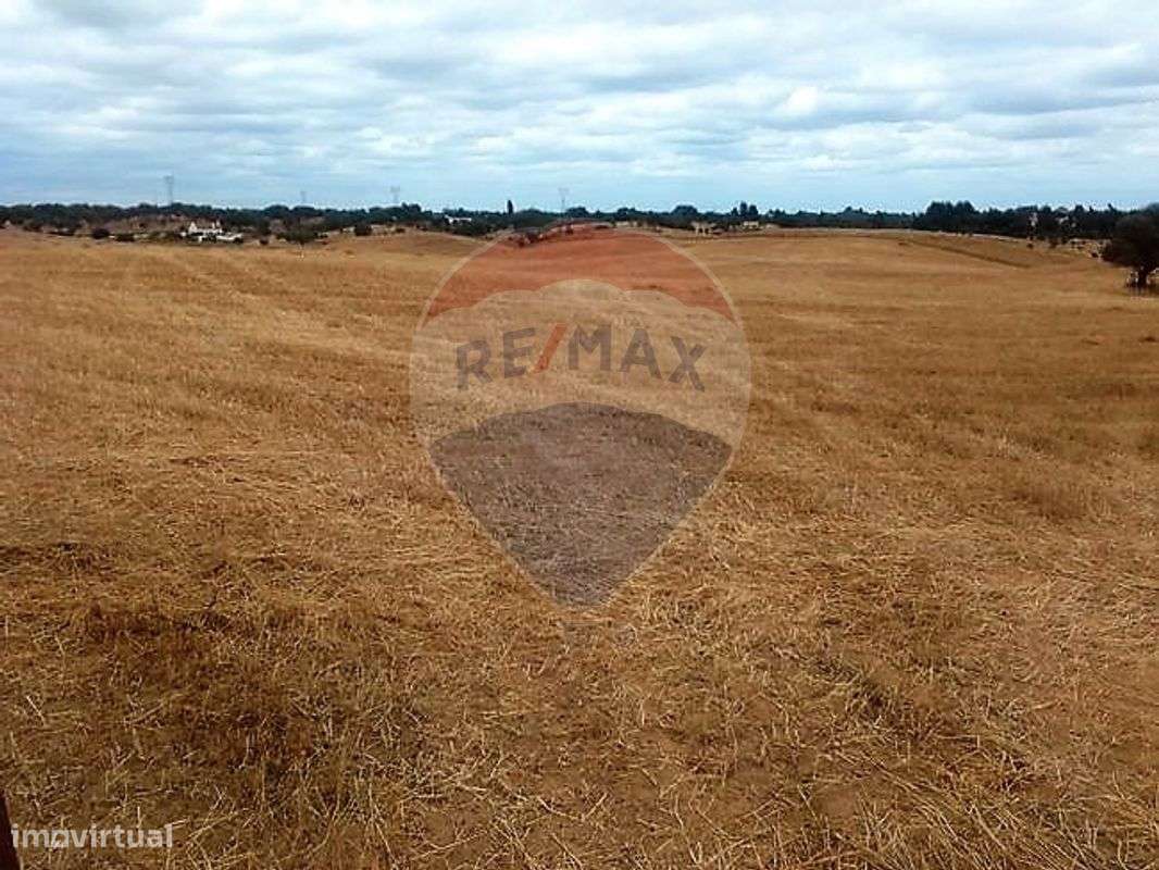 Quinta T3 para venda-5