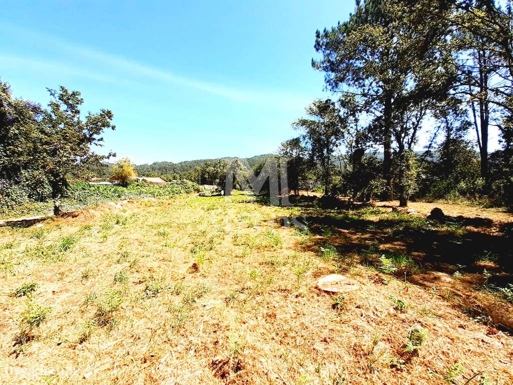 Terreno para construção em Afife - Grande imagem: 3/10