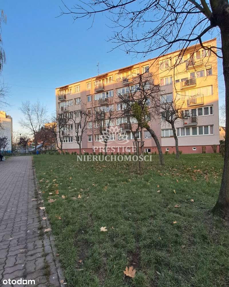 Funkcjonalne i ekonomiczne mieszkanie na parterze-6