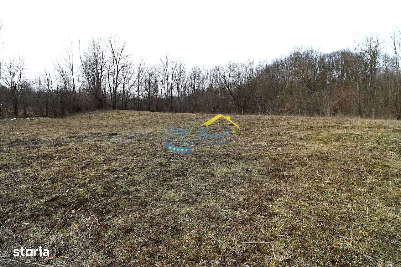 Teren Intravilan de vanzare, Provita de Sus-3