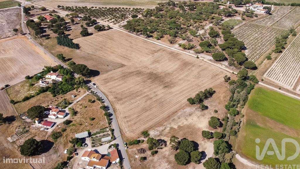 Terreno em Pegões de 31738,00 m2 - Grande imagem: 4/18