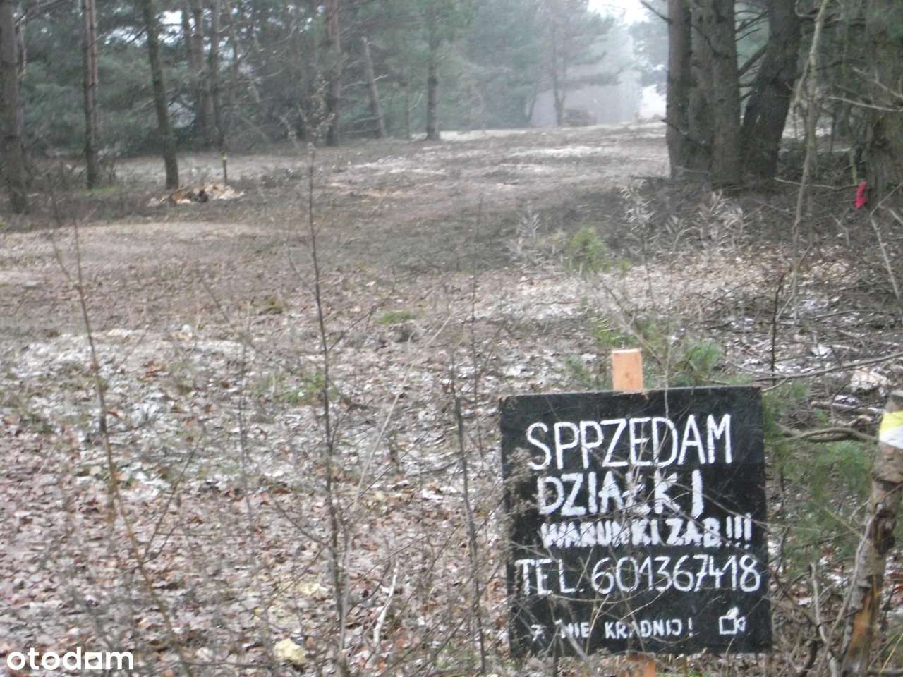 Sprzedam działki rekreacyjno - budowlane (3000m2) - Pełny obrazek: 3/8