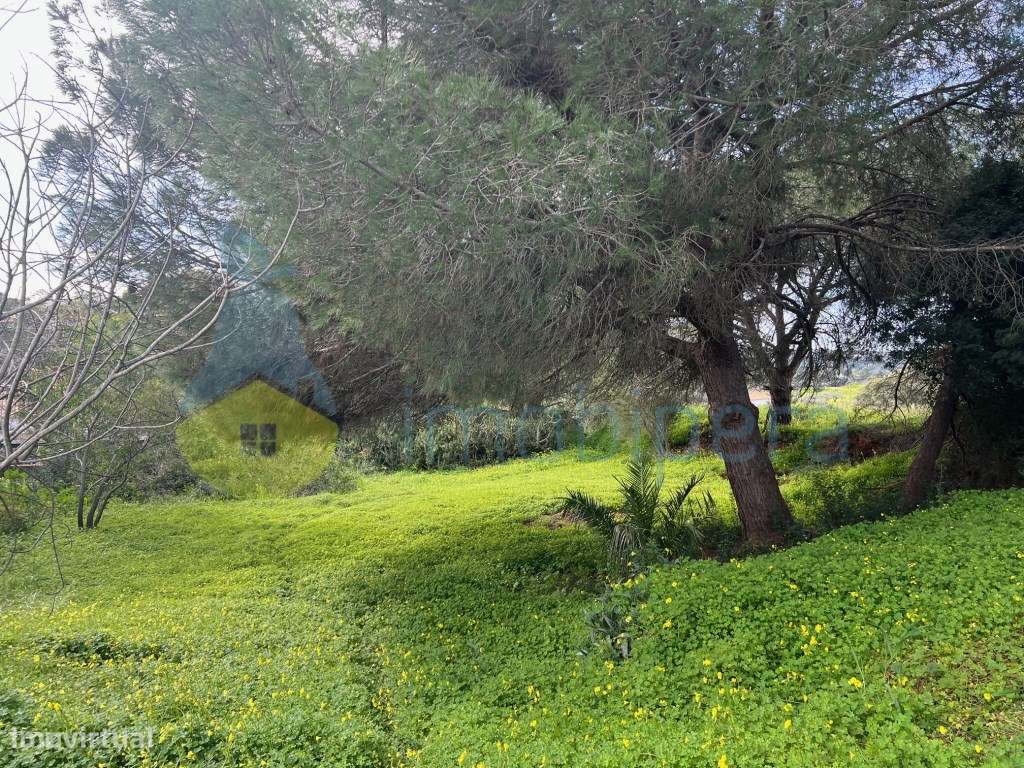 LOTE EXCLUSIVO PARA MORADIA DE SONHO COM PISCINA NA QUINTA DOS BARR...-1