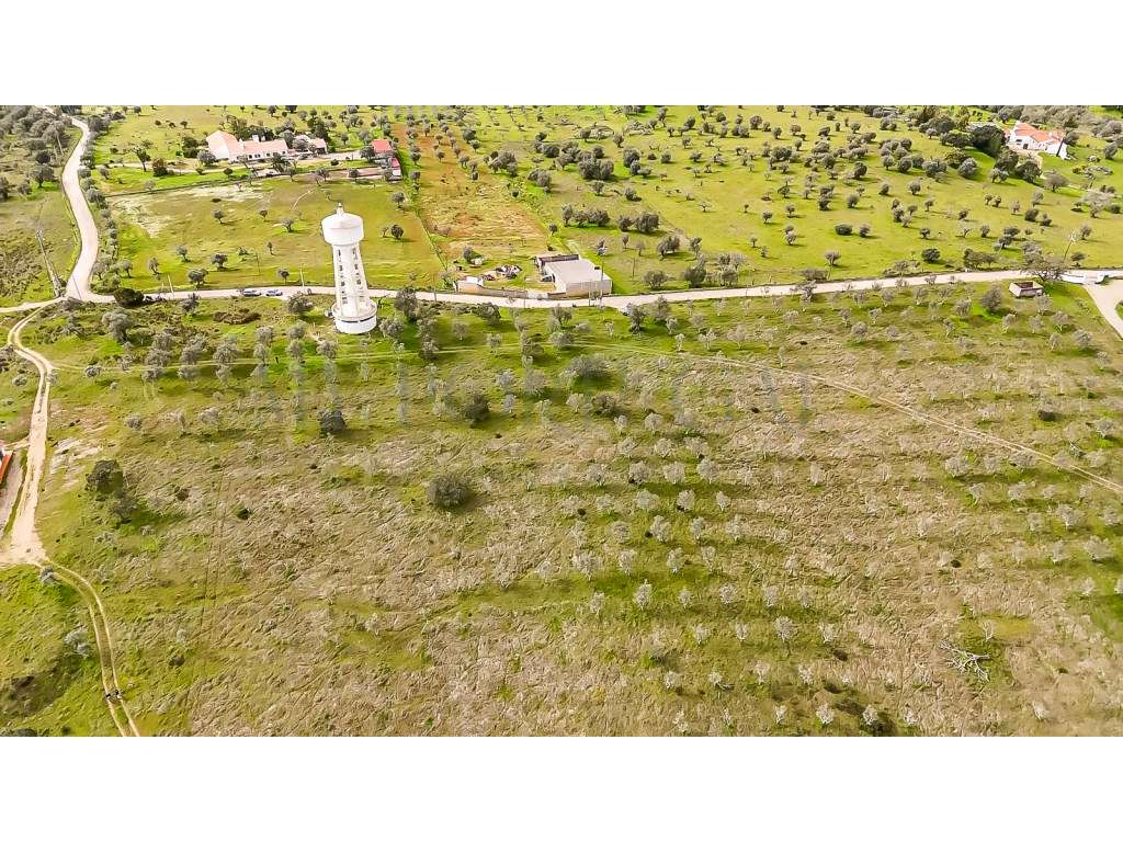 Herdade da Adua | 14 Hectares com Potencial Turístico e Agrícola - ...-4