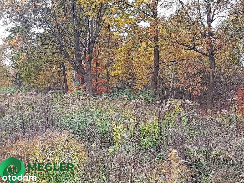 Działka w otulinie lasu-5