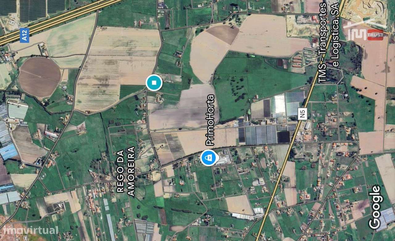 Terreno Agrícola c/ 10.760m2 - Atalaia / Montijo - Grande imagem: 5/19