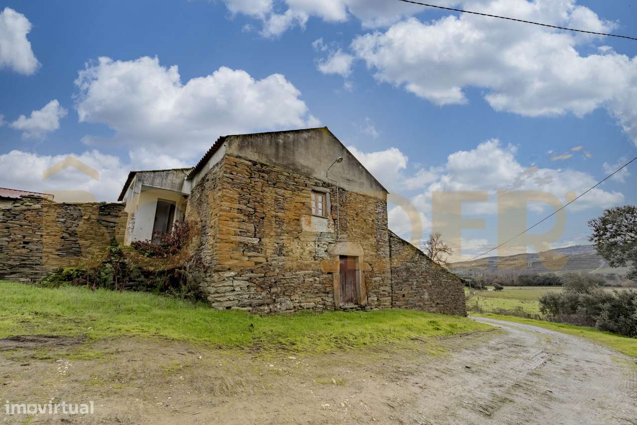 Quinta do Arieiro - Cedovim | Vila Nova de Foz Côa | Douro Superior-10