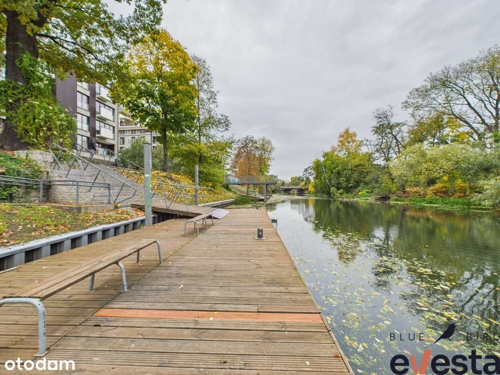 Angel Wings / pewna inwestycja / gotowa do wejścia-12