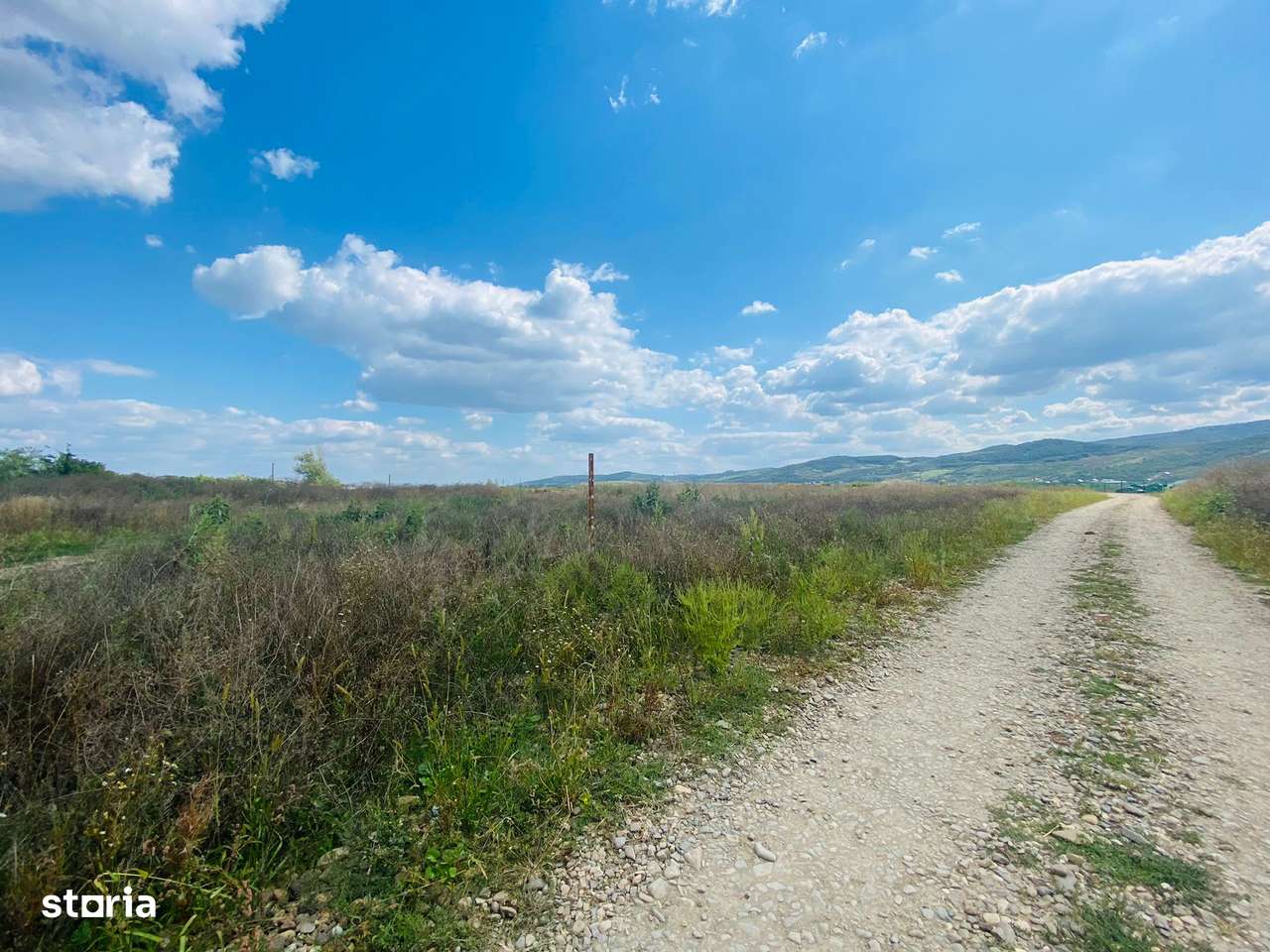 Teren 1399mp, PUZ industrial, Dancu-6