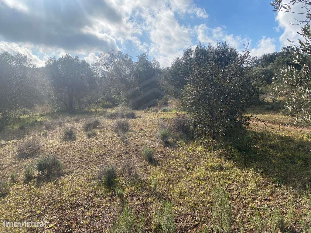 Lote de terreno rústico, com 3.130m2, Loulé, Algarve - Grande imagem: 2/22
