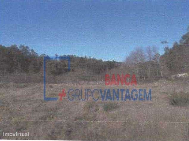 LOTEAMENTO MORADIAS - POVOA DE LANHOSO - Grande imagem: 4/12