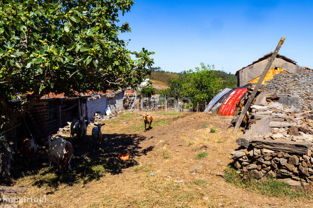 Moradia T3 para restauro em Lagares-Penafiel - Grande imagem: 2/25