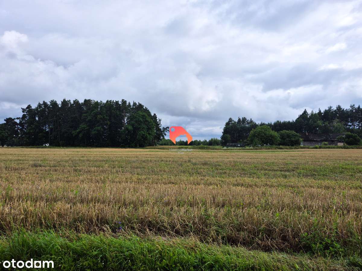 Działka Przy Lesie - Nekla  1399m2 Budowlana - Pełny obrazek: 4/7