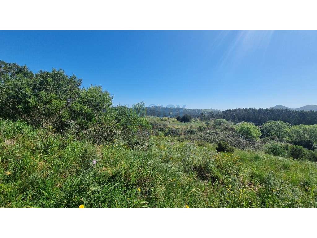 Terreno Industrial com Projeto Aprovado na Malveira - Grande imagem: 4/9