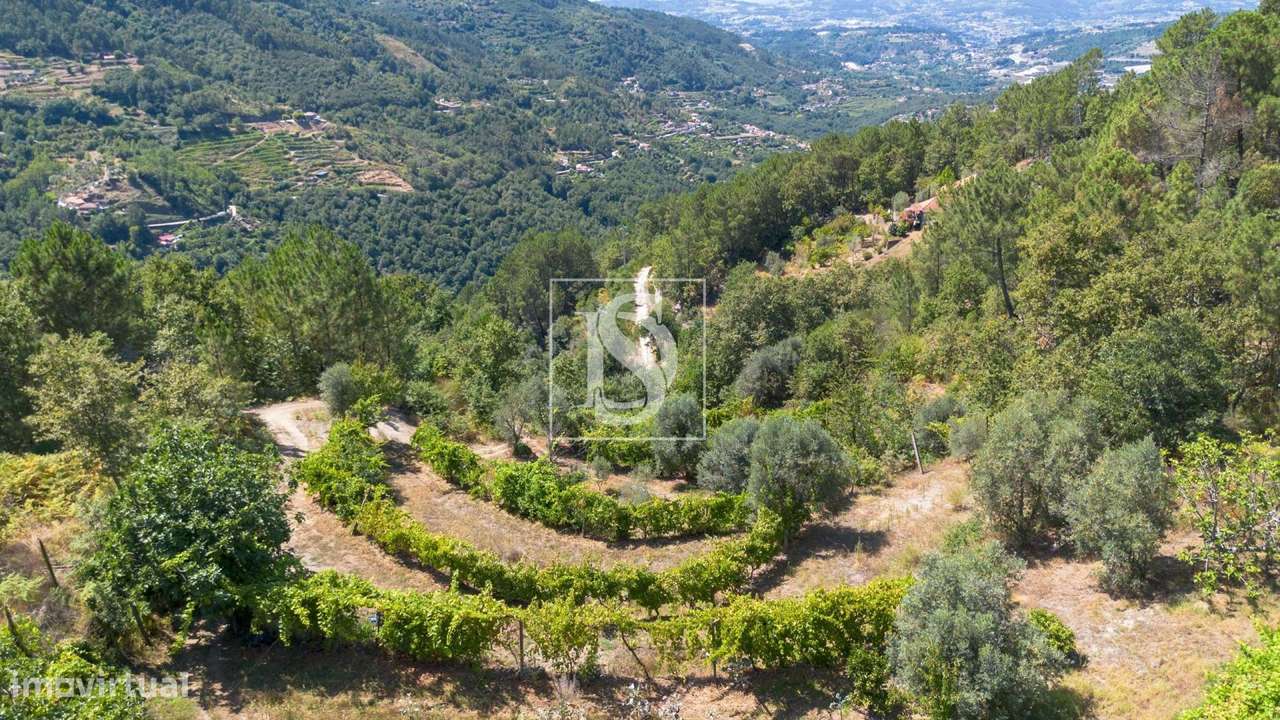 Quinta em UDF de Bustelo, Carneiro e Carvalho de Rei - Grande imagem: 4/55