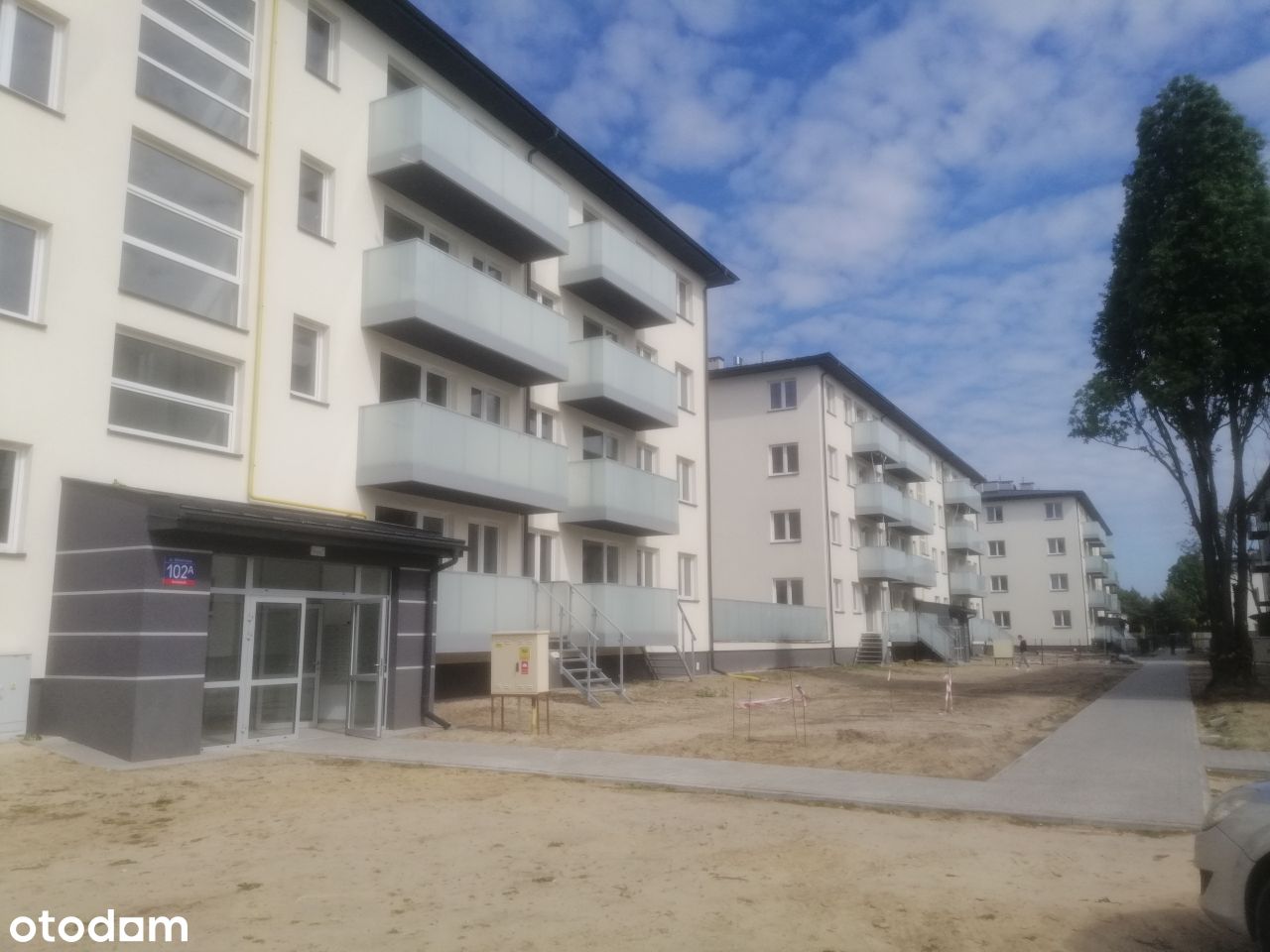 Nowe mieszkanie, Kasztanowa