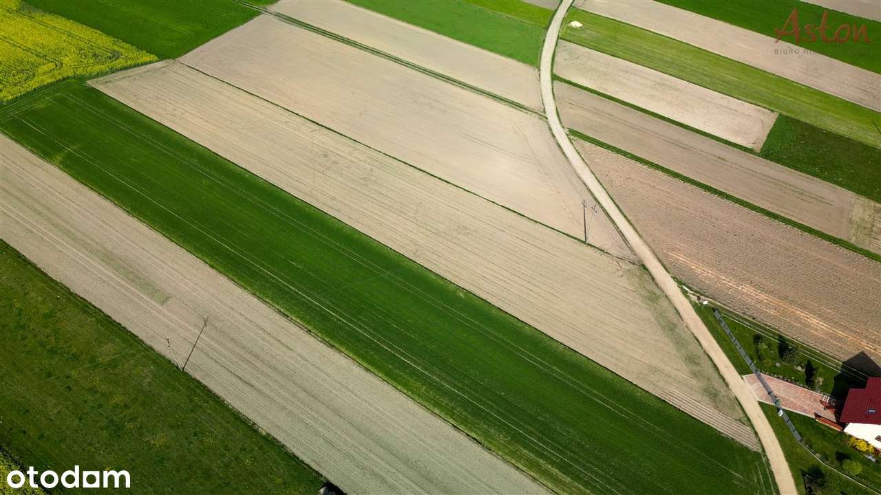 Duża ładna działka, Miedzyrzecze k/ Woli - Pełny obrazek: 4/6