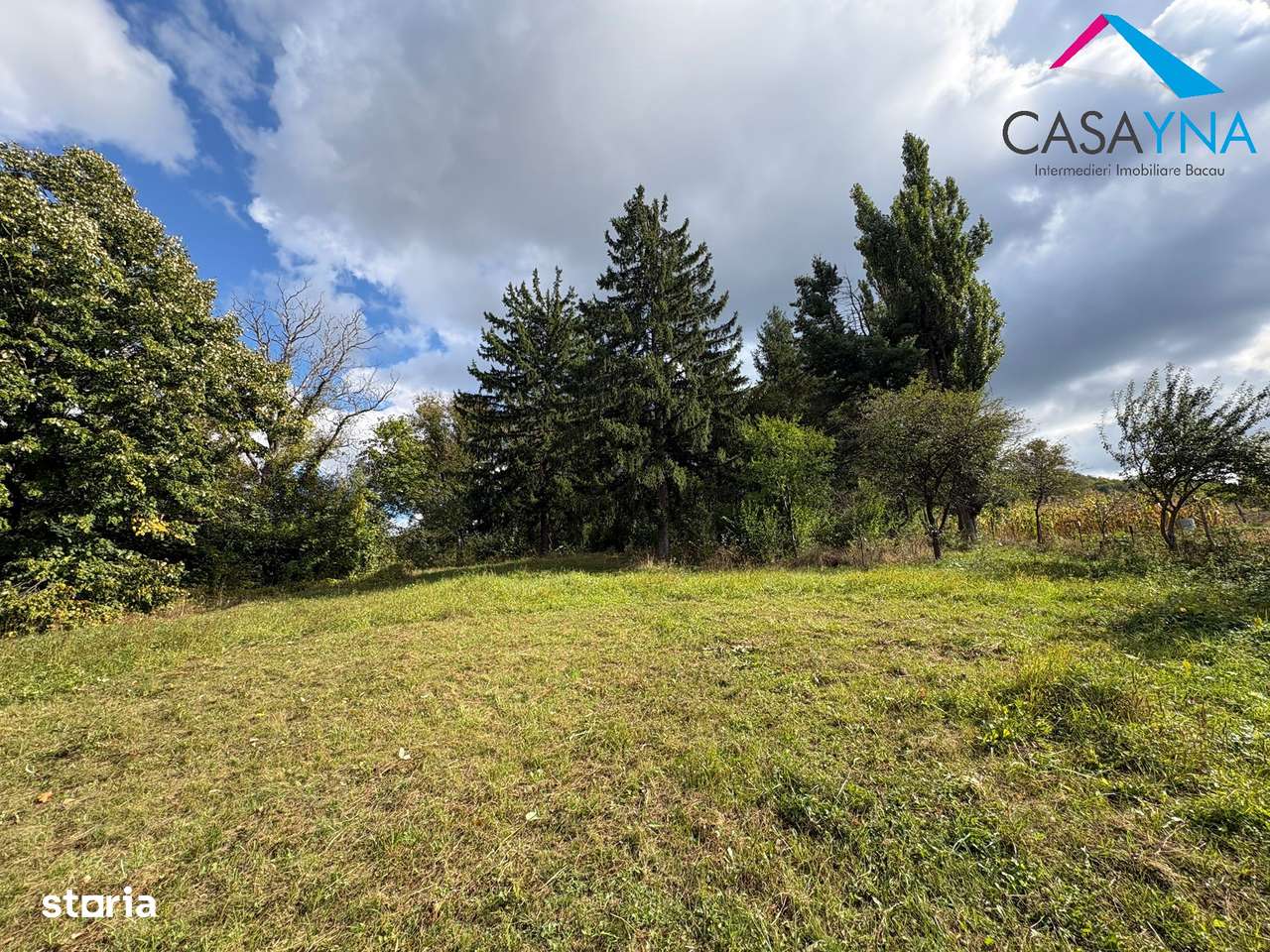 Lot teren 8.344 mp - Zona Primariei - Buhoci!-2