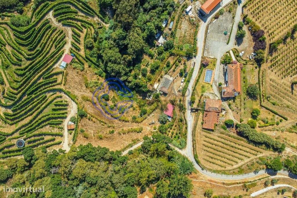 Quintinha de 5750m2 com construção existente e Projeto de Arquitetura - Grande imagem: 4/60