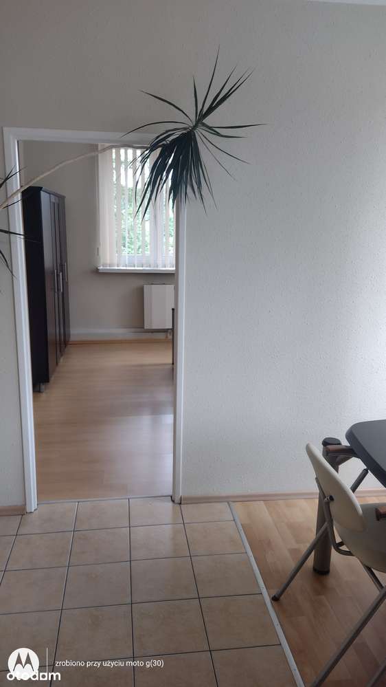 Działka 2,7ha z halą oraz biurowcem na sprzedaż-8