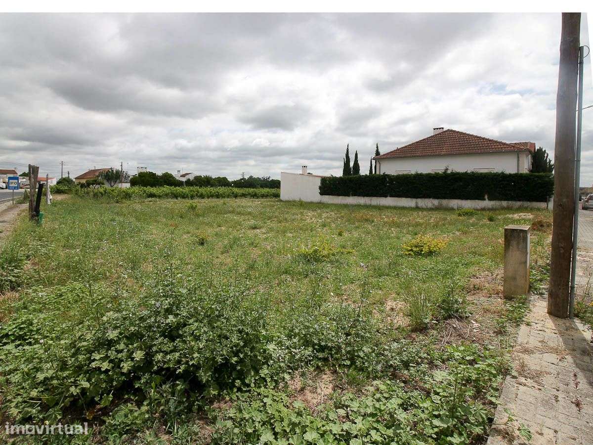 Lote - Grande imagem: 3/4