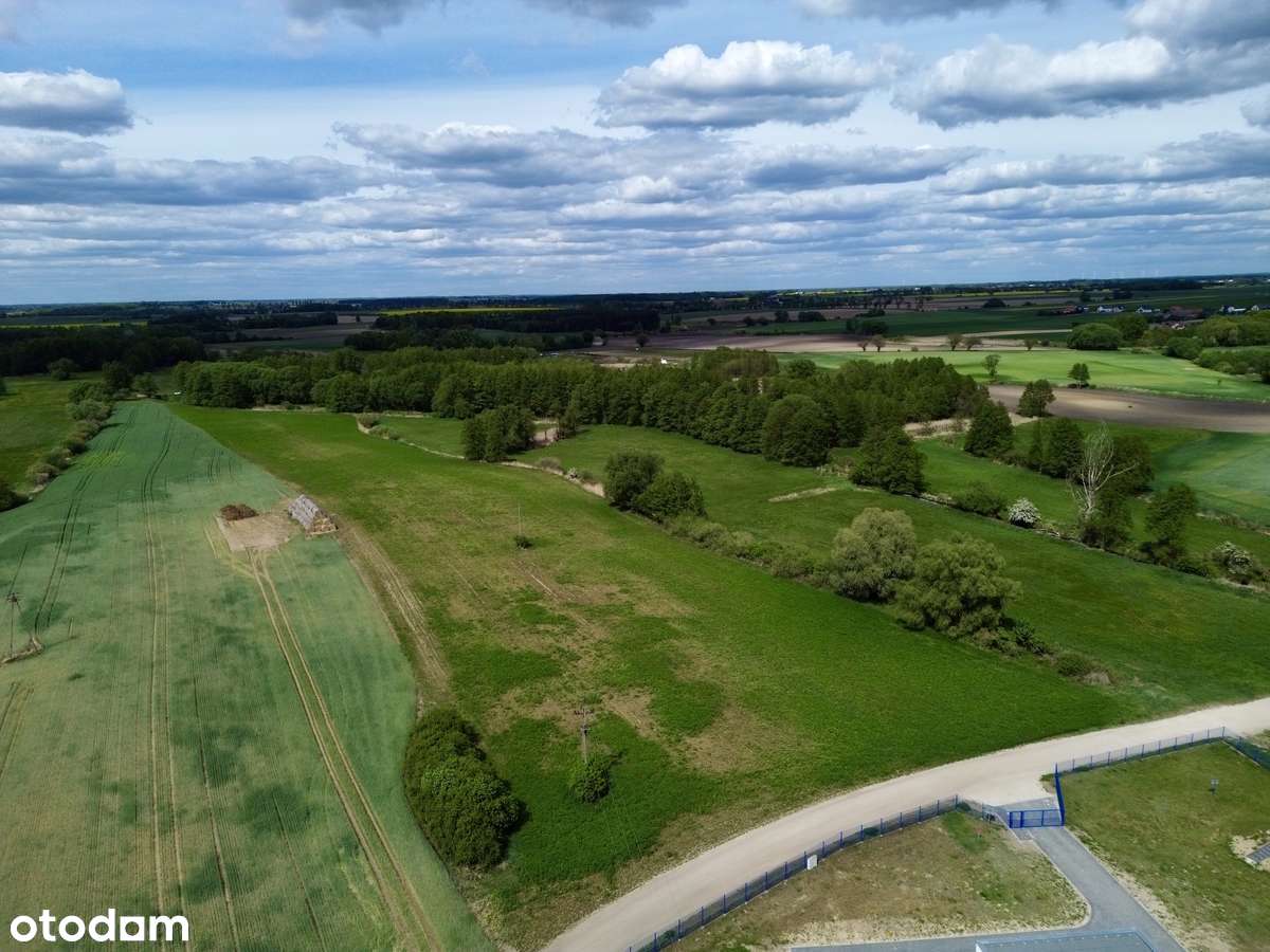 Unikatowy teren do wybudowania REZYDENCJI/SIEDLISKA w gminie Suchy Las - Pełny obrazek: 2/15