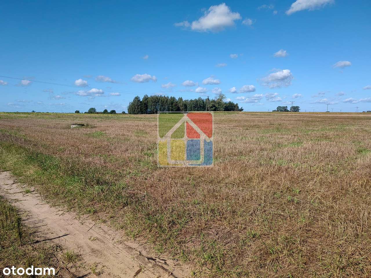 Duża działka rolno-budowlana w okolicy Gostynina-4