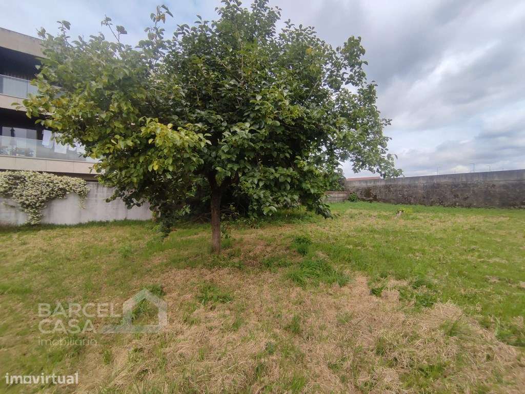 Oportunidade Única de Investimento em Zona Nobre de Barcelinhos - B...-20