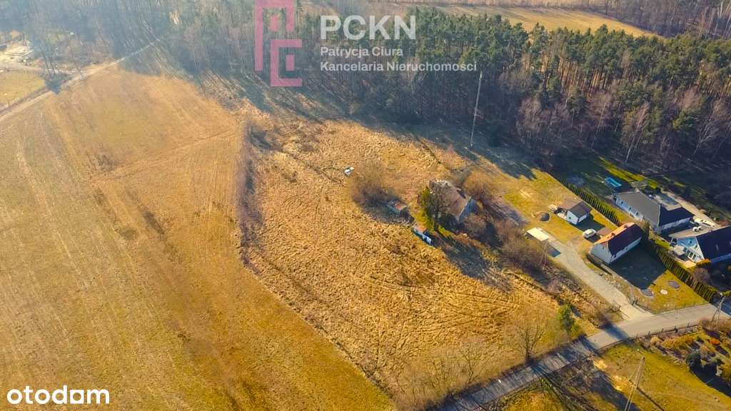 Działka budowlana 1,1 ha otoczona lasem/droga asfa - Pełny obrazek: 3/4