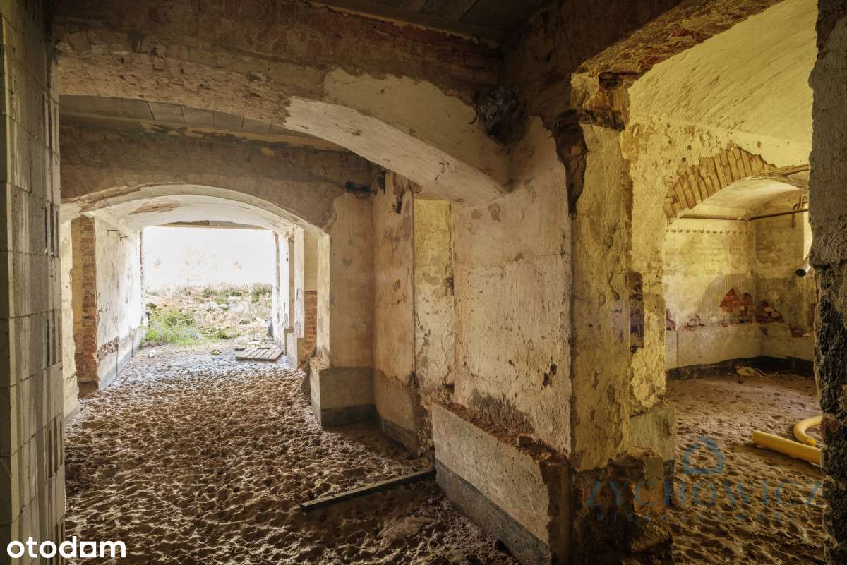 Zabytkowy pałac z parkiem – Wilków, woj. Opolskie-9