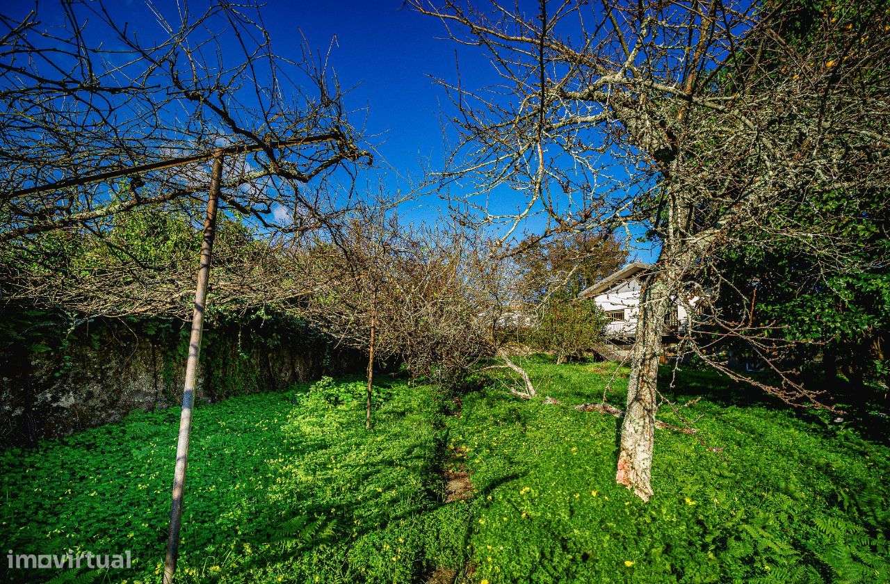 Moradia isolada, Centro de Oliveira de Azemeis-49