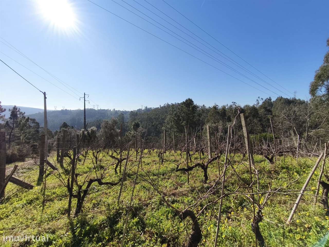 Terreno -  Dianteiro - Cova do Ouro - Grande imagem: 5/7