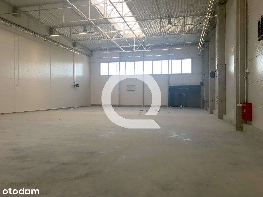 Hala magazynowo/produkcyjna z placem! - Pełny obrazek: 4/4