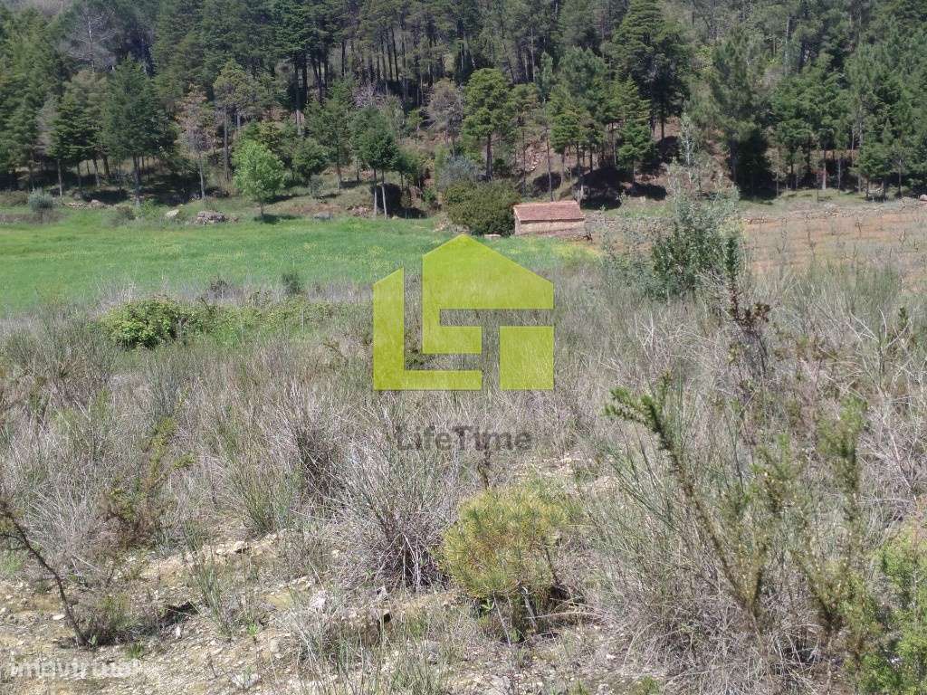 Terreno Urbano - Grande imagem: 5/7