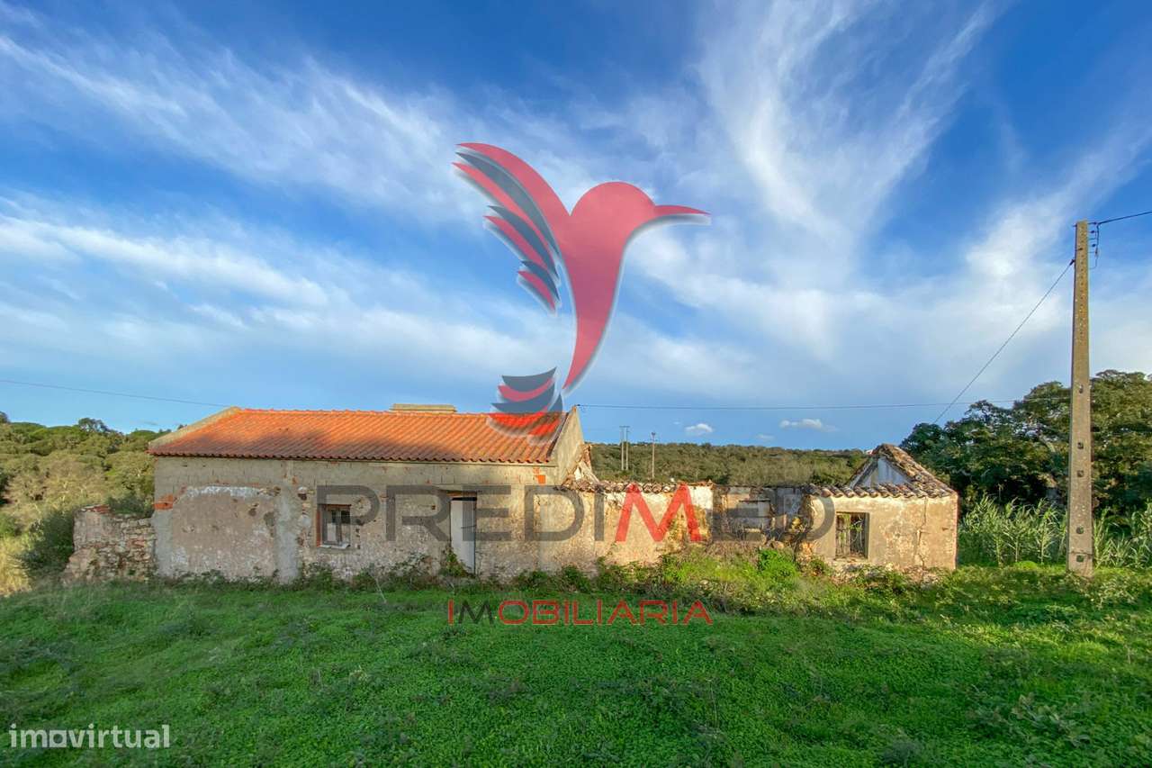 Quinta com ruína a 10km da Lagoa de Santo André - Grande imagem: 3/11