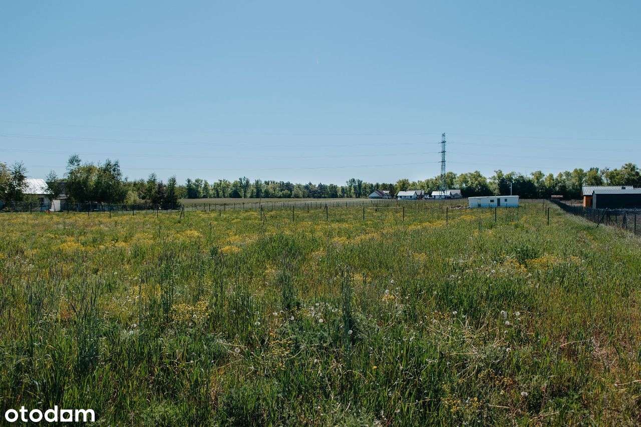 Działka rekreacyjna w Gawronach - Pełny obrazek: 5/6