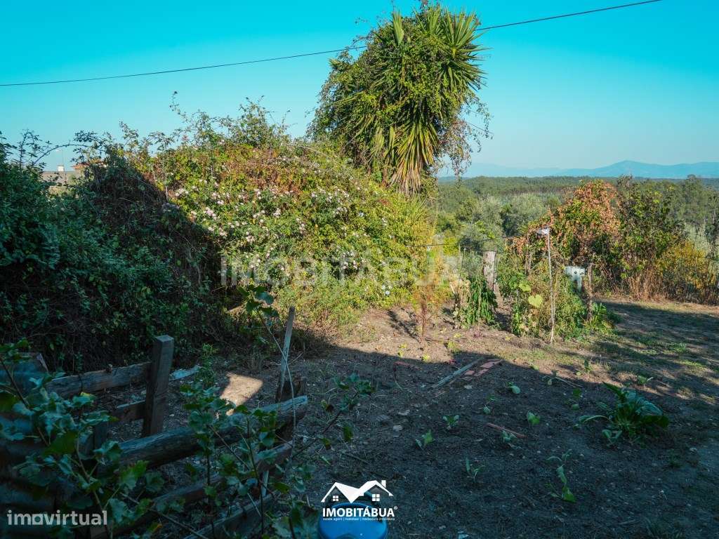 Casa Tradicional Portuguesa com Quintal, Vista e Muitos Detalhes Au...-32