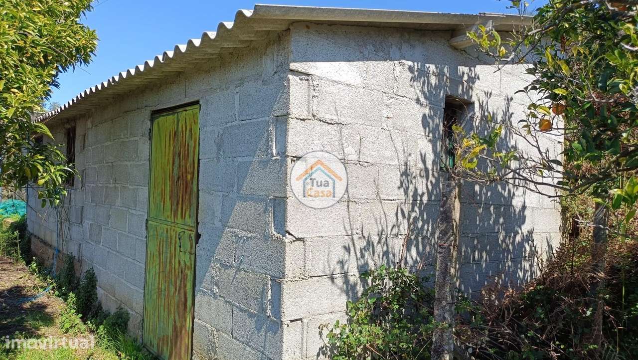 O Seu Paraíso Verde com Rendimento Extra Espera por si! - Grande imagem: 4/16