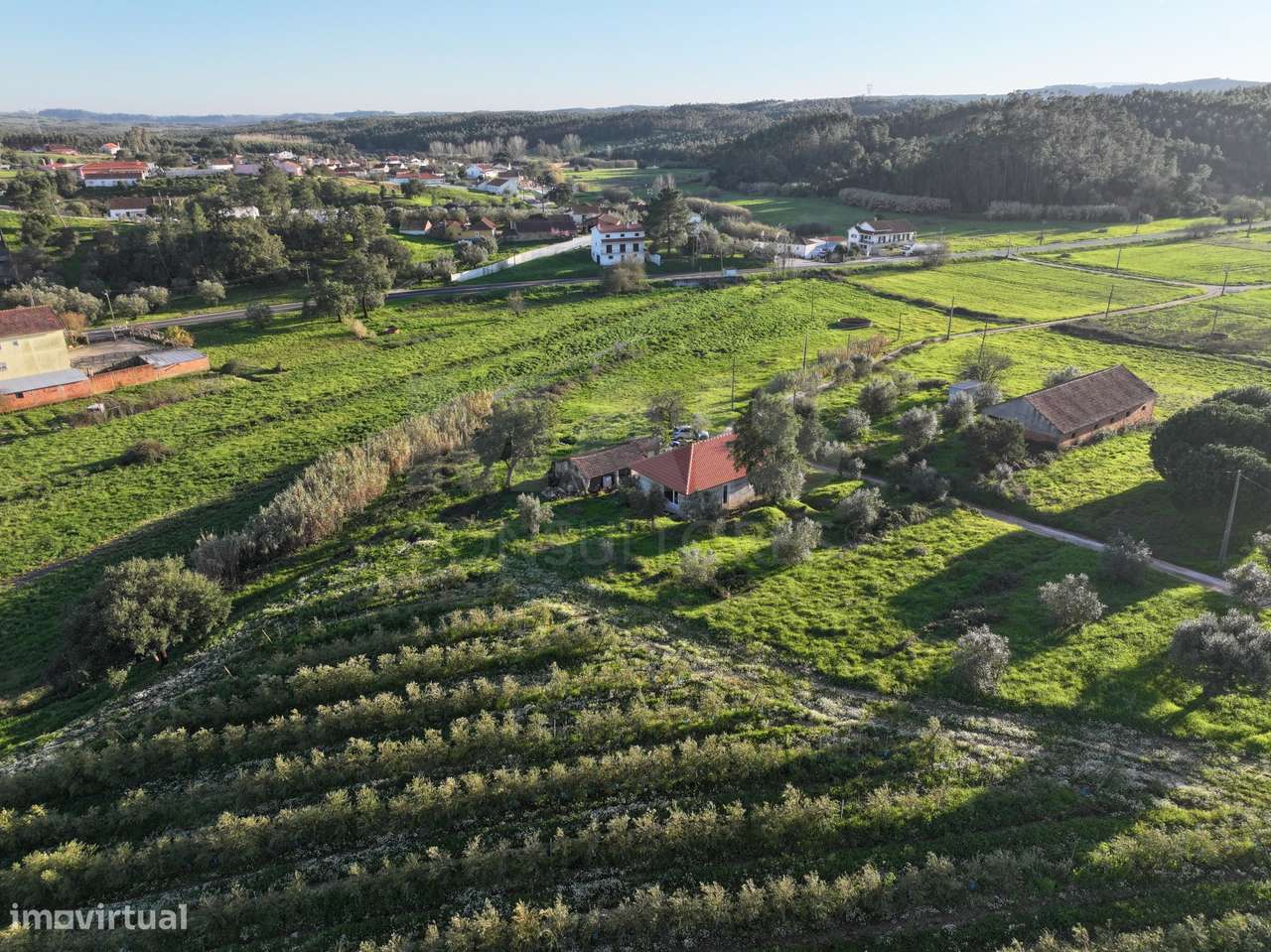 Moradia T2+1 c/ Anexo & Armazém em Lote de 7.600m2 - Grande imagem: 4/33