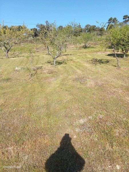 Terreno Agricula - Grande imagem: 5/6