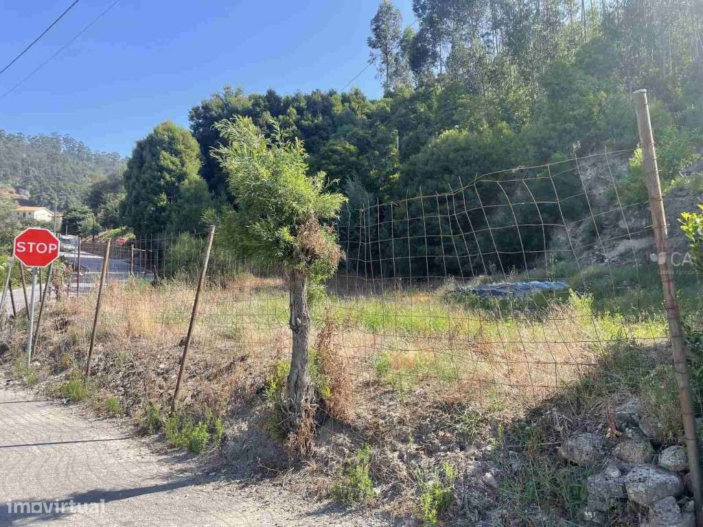 Terreno para cosntrução - Grande imagem: 3/4