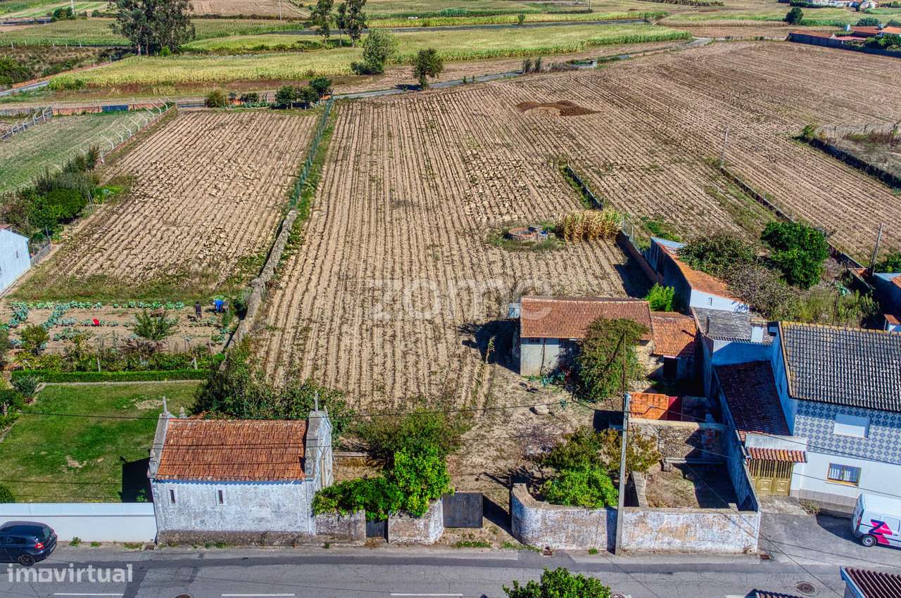 Dois Lotes em Avanca – 4.152 m² com Alvará de Loteamento - Grande imagem: 5/24