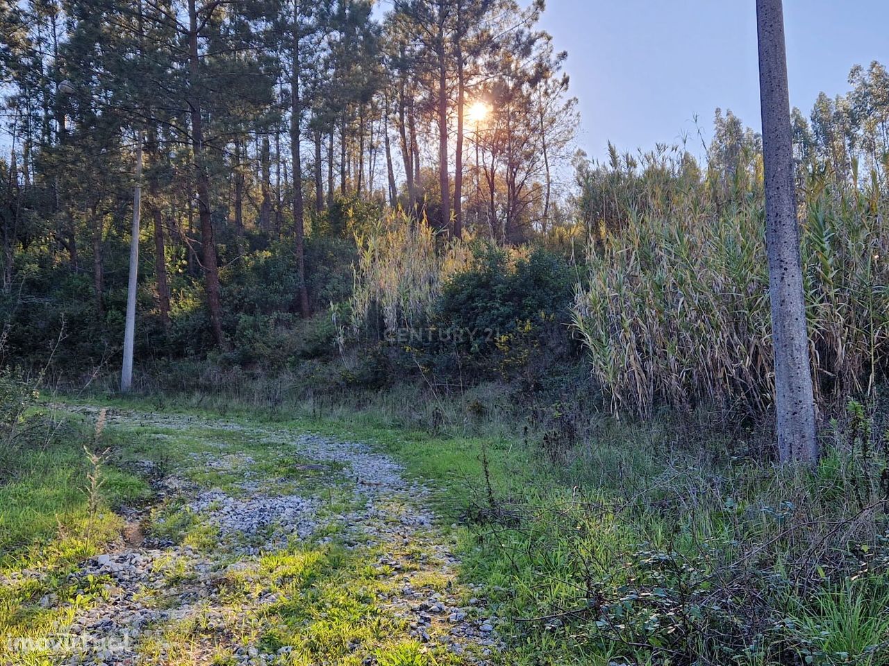 Lote de terreno urbano, localizado no Outeiro das Maias,, em Pombal