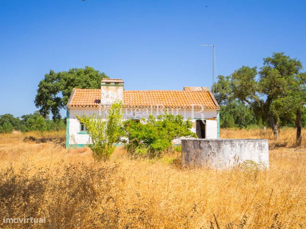 Quinta de 20ha com projeto para Turismo Rural a 1h de Lisboa-30